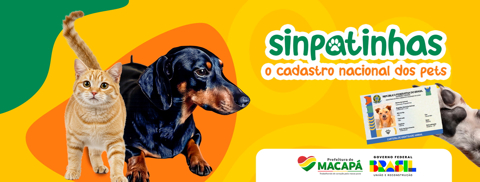 Saiba como cadastrar seu pet no SinPatinhas e garantir acesso a serviços veterinários em Macapá